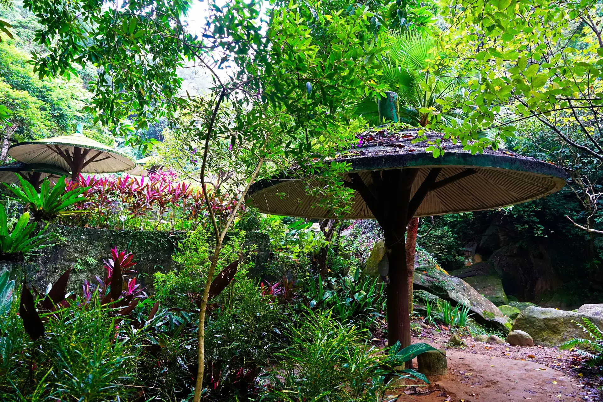 台北山林步道 圓覺瀑布16