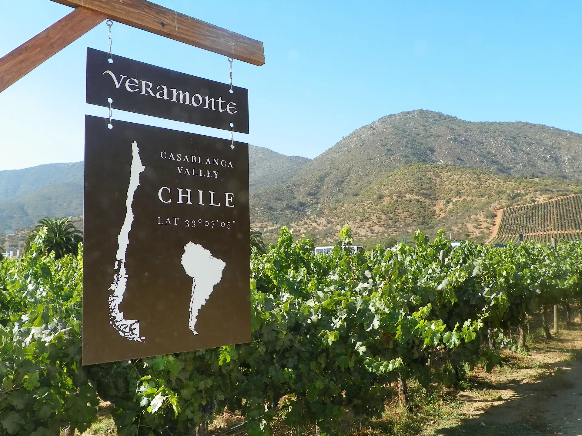 智利智利瓦爾帕萊索與維尼亞德爾瑪05 Veramonte 酒莊