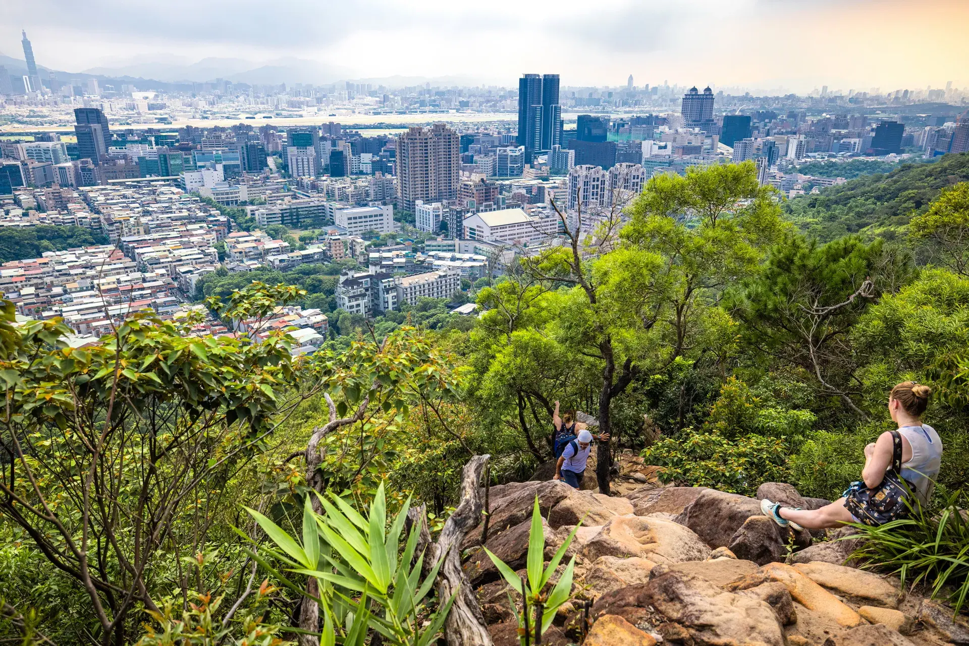 台北山林步道 金面山親山步道09