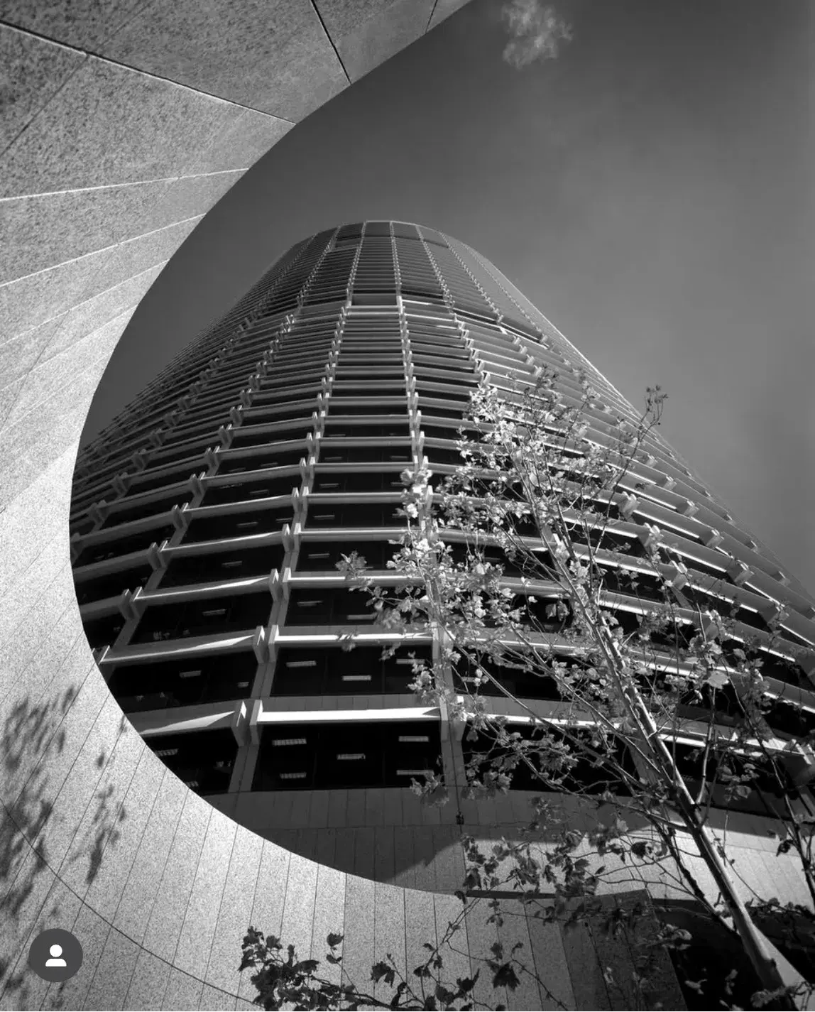 Smac San Marco Art Centre Migrating Modernism. The Architecture Of Harry Seidler 01