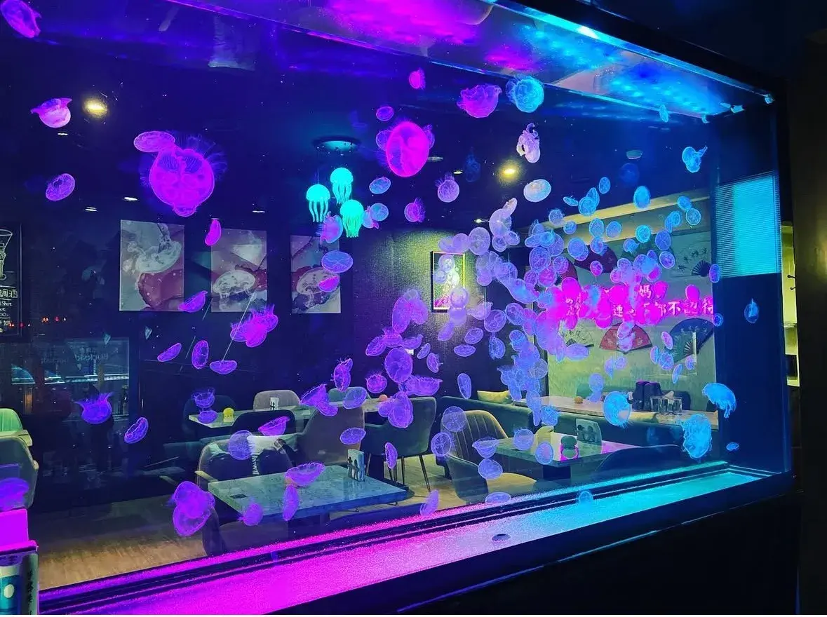 桃園餐酒館推薦taoyuan Gastrobar Jellyfish Bistro Bar 桃園水母餐酒館｜酒吧