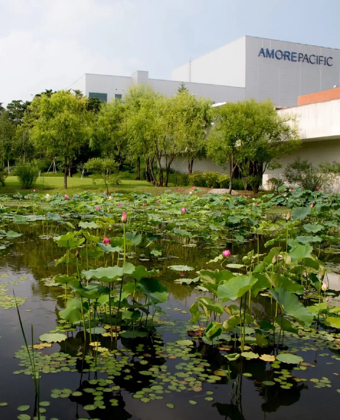 Smac San Marco Art Centre 韓國景觀建築師jung Youngsun 03