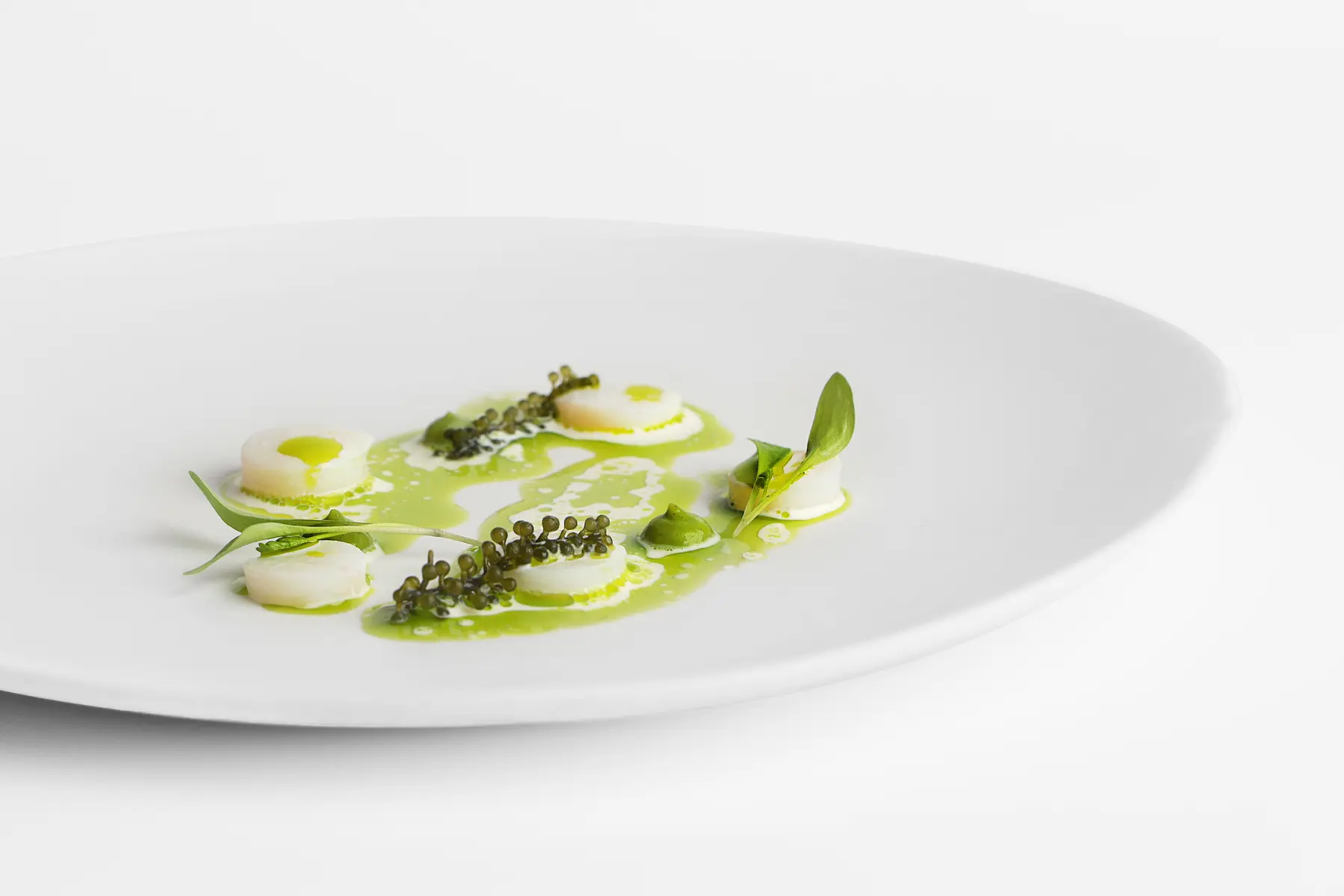 【新聞稿附件】molino De Urdaniz 渥達尼斯磨坊｜漣漪 2