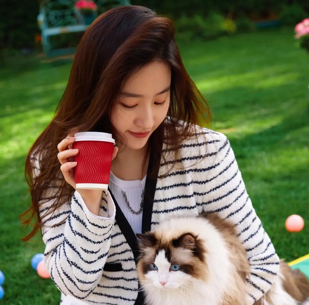 髮量富翁女星養髮秘訣 劉亦菲