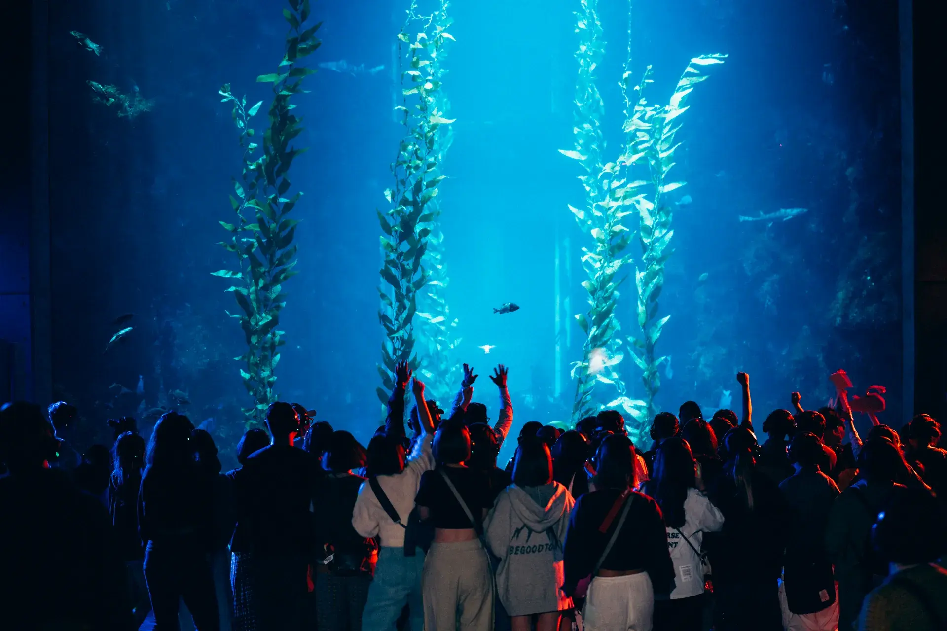 屏東海生館「海洋生活祭」2