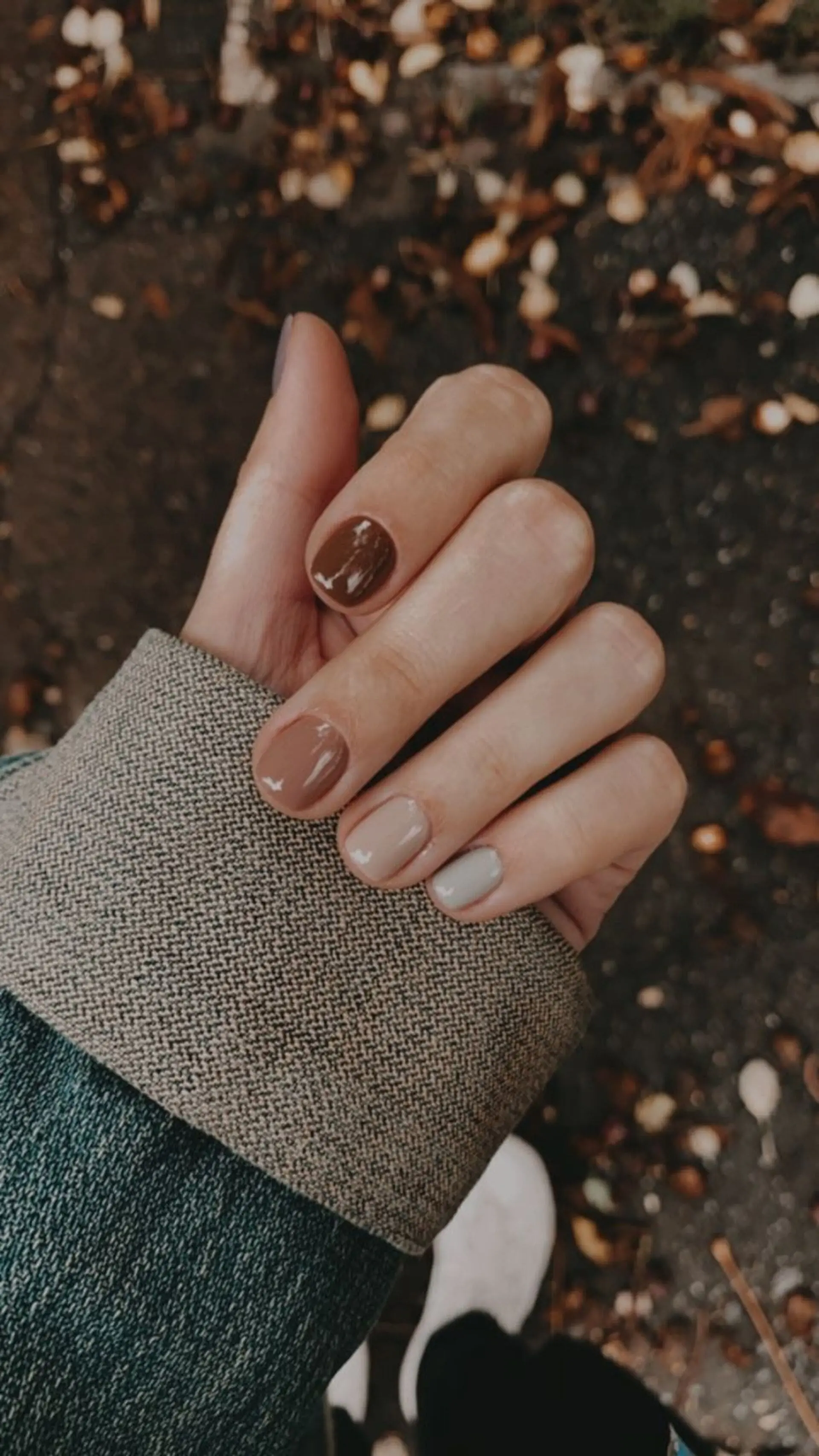 【nastasiia Torchuk】2025秋冬美甲 美甲 短圓甲01