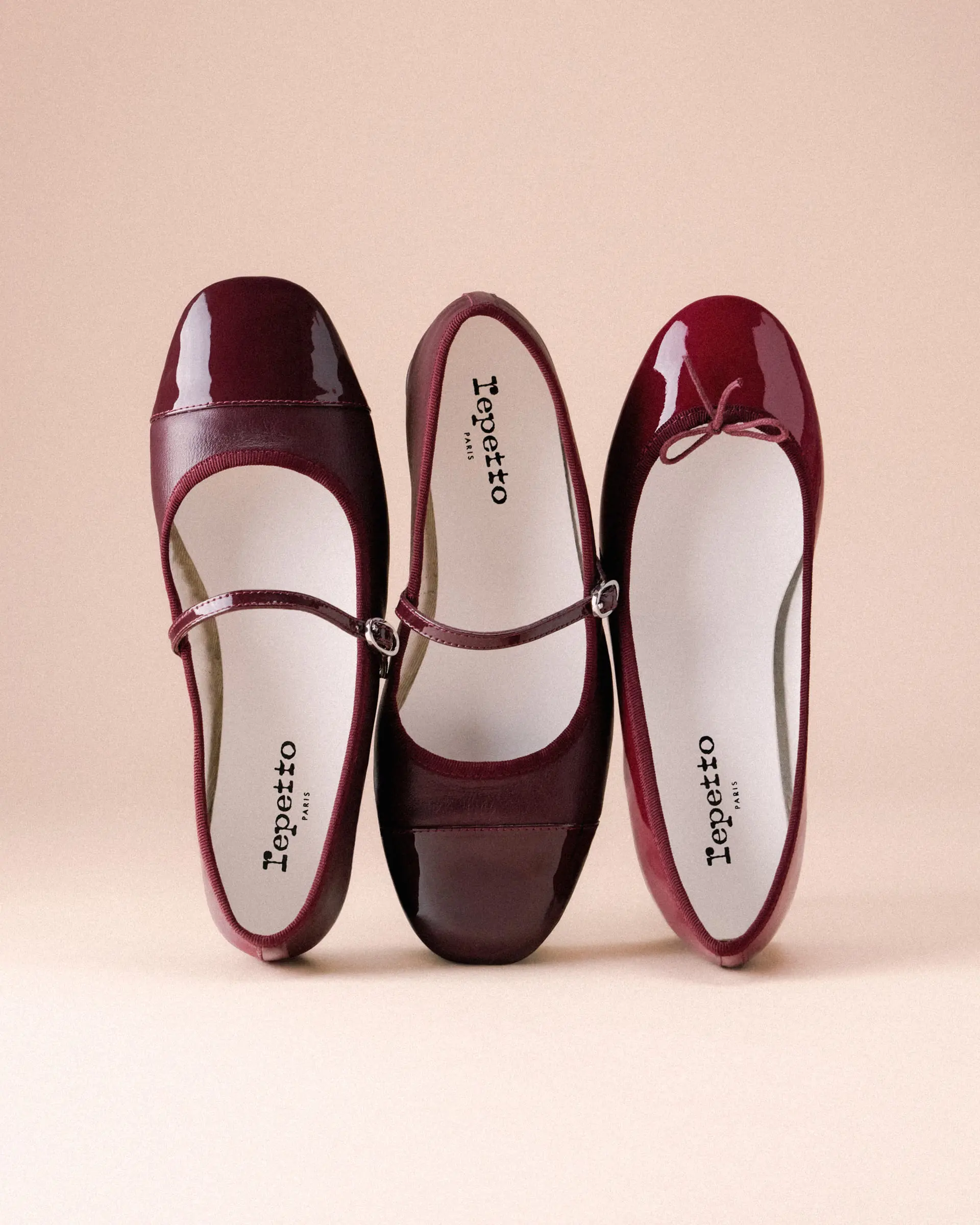 【repetto】charlotte Repetto Pointed Cendrillon01