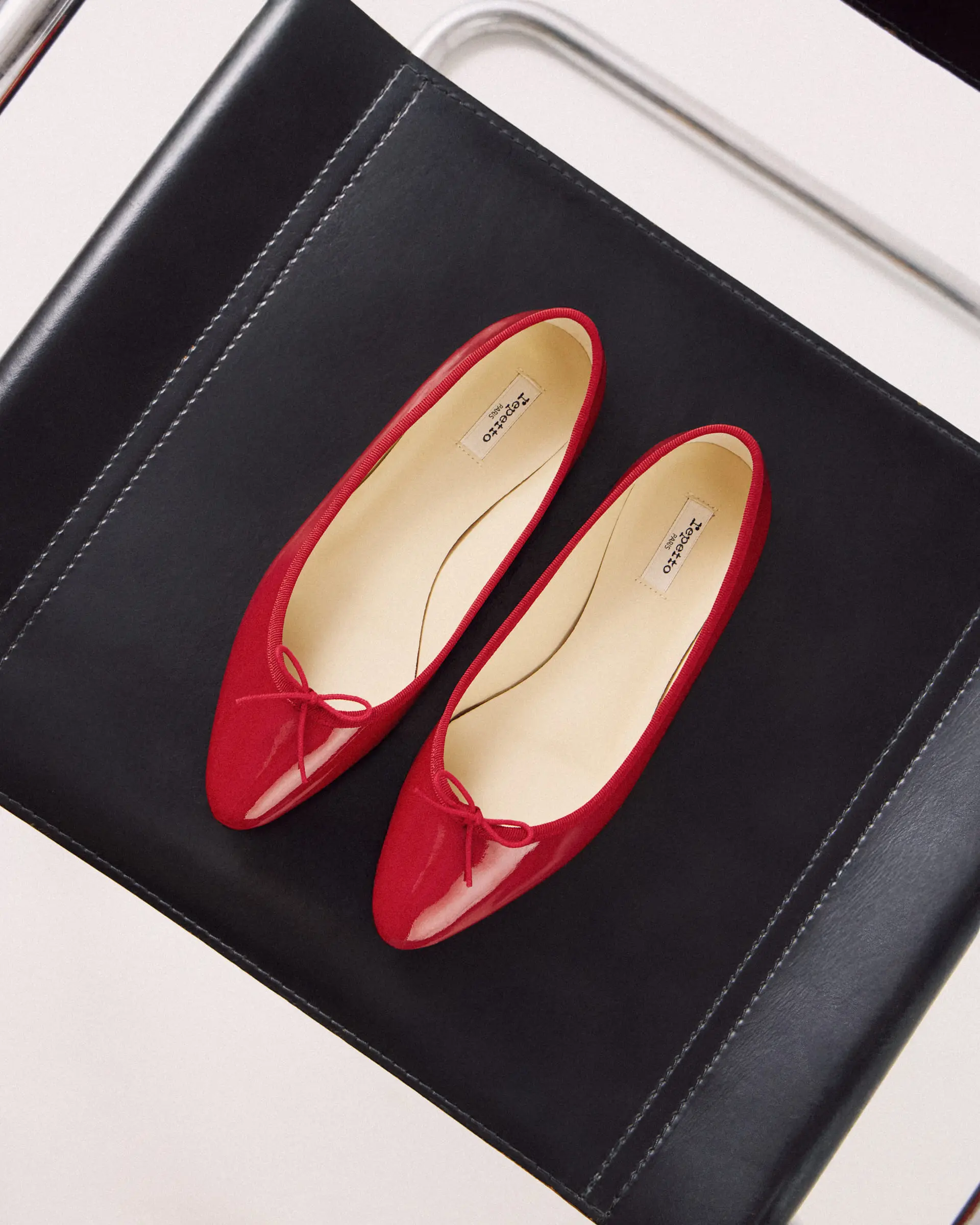 【repetto】charlotte Repetto Pointed Cendrillon02