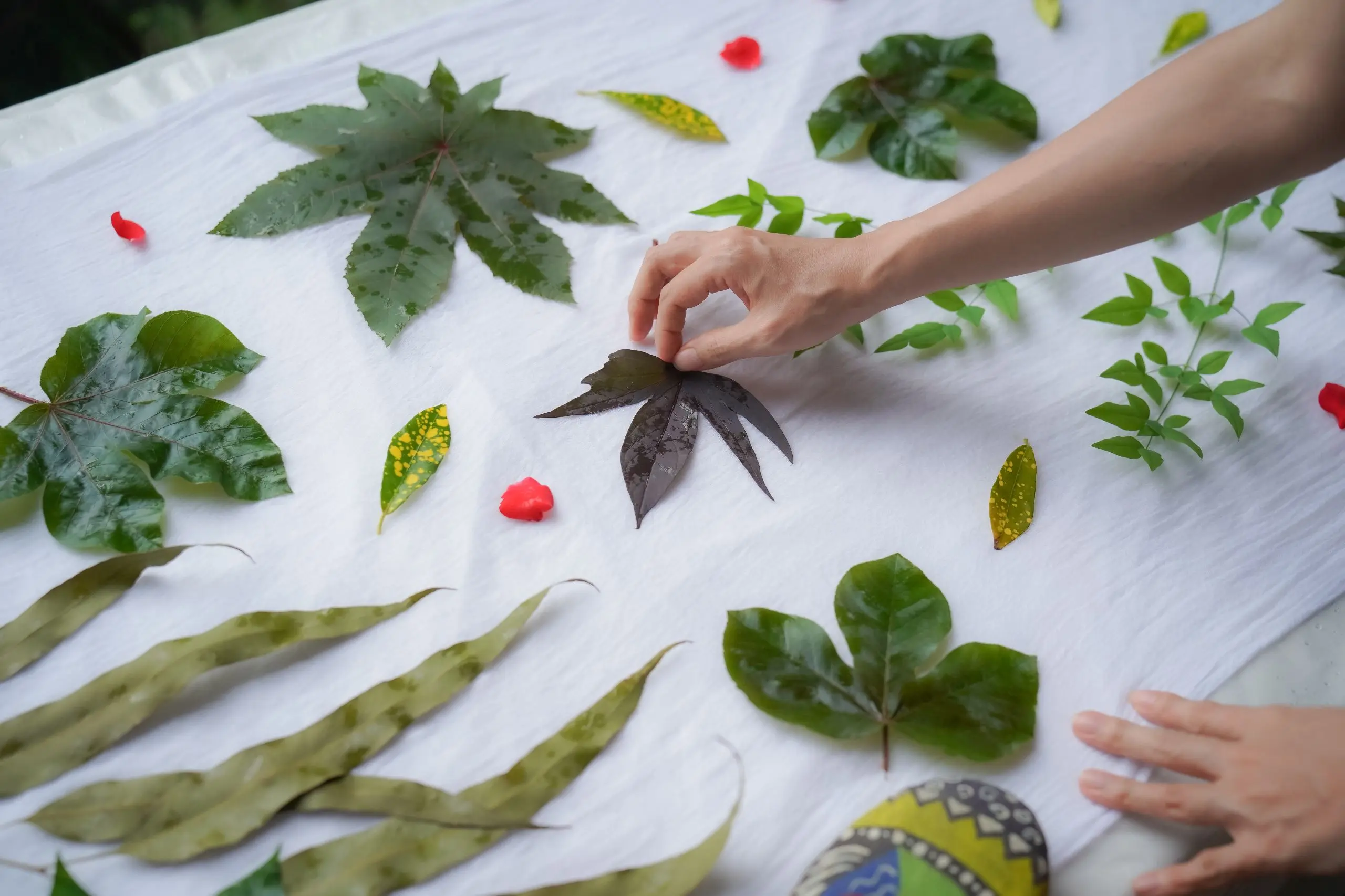 【曾文水庫音樂會】曾文水庫音樂會 南台灣旅遊推薦 紅瓦貓植物染手作體驗過程＠西拉雅國家風景區管理處