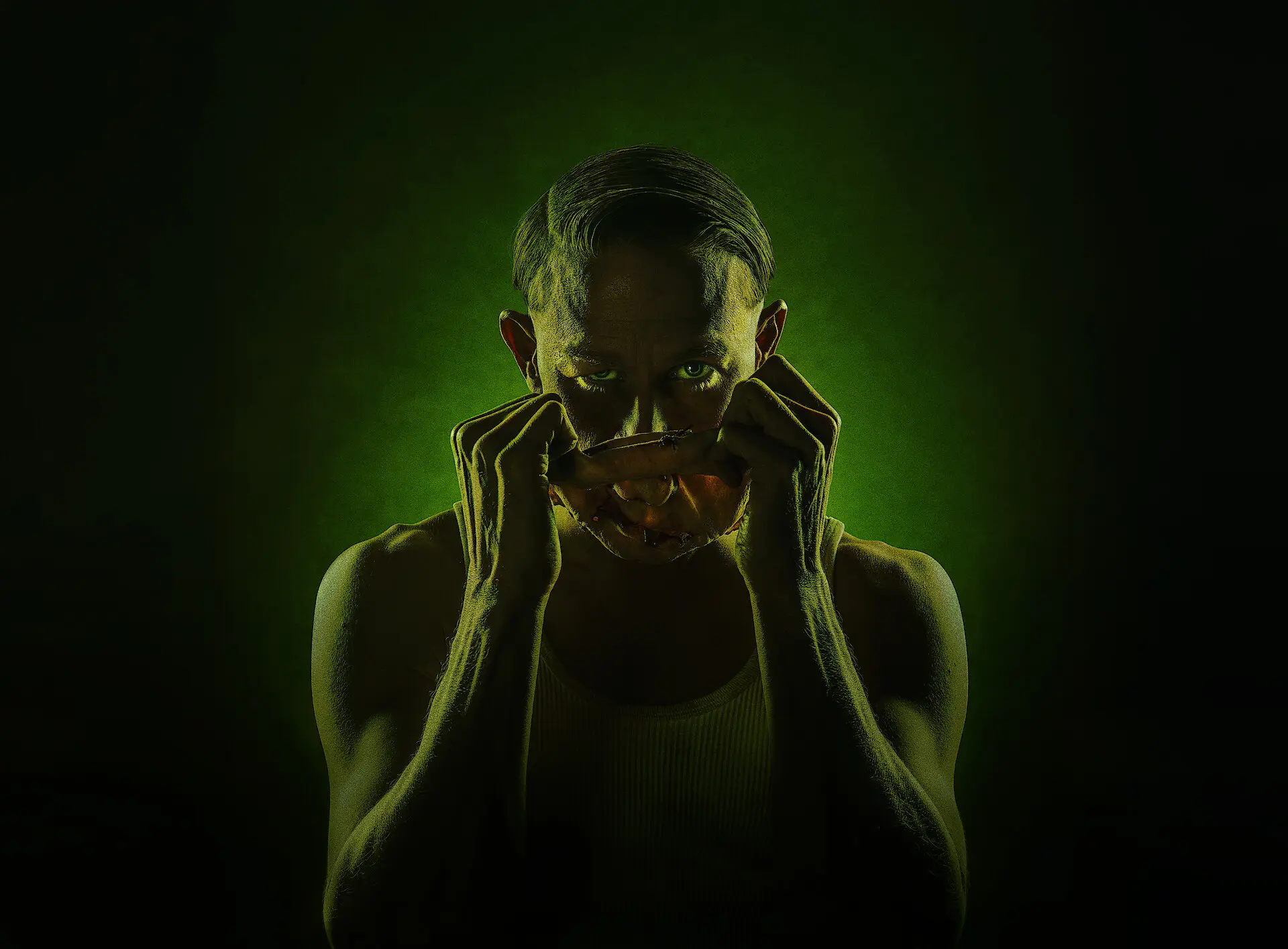 Addison Ea Sterling Monster The Ed Gein Story