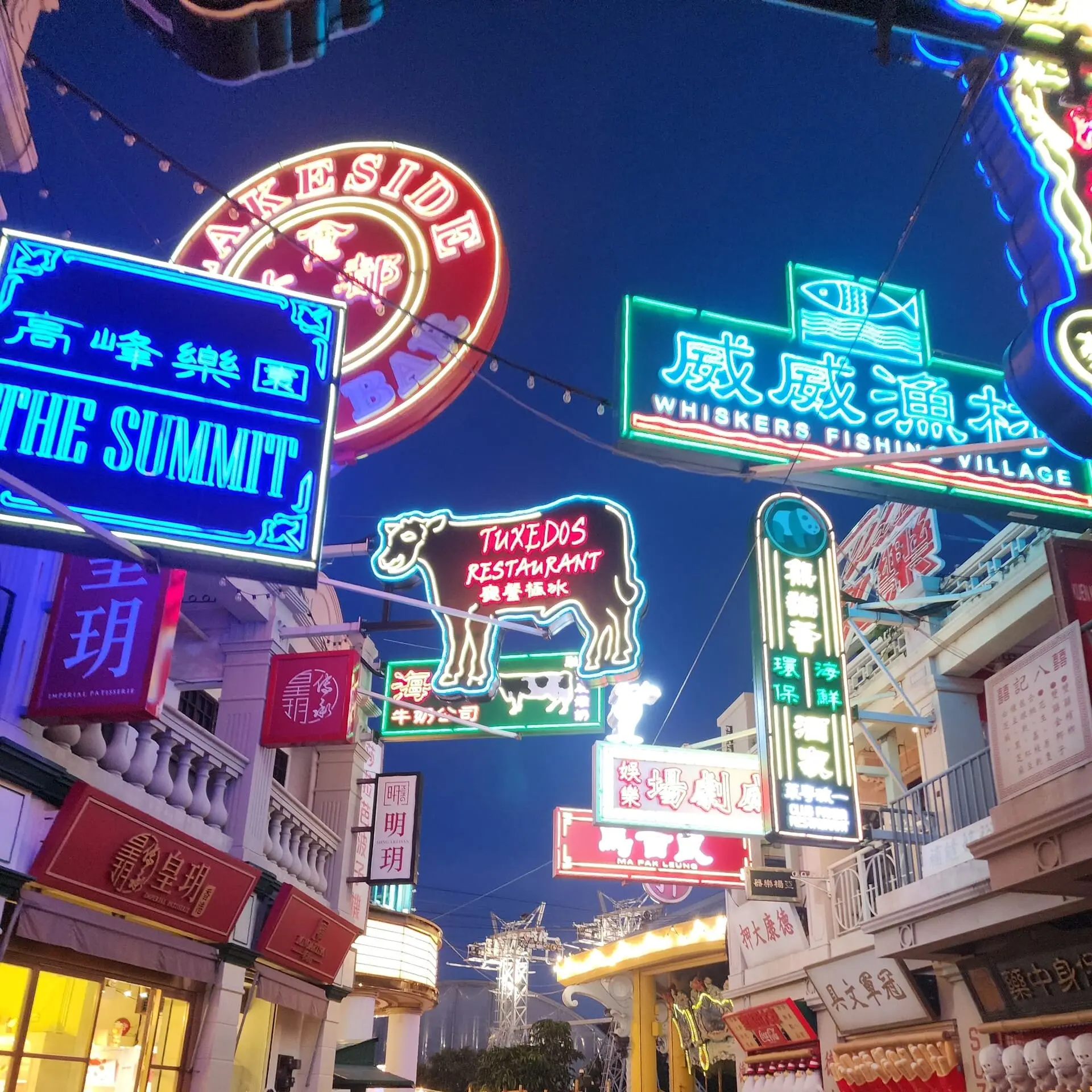 【香港海洋公園】哈囉喂全園祭 2025 香港海洋公園 園區01