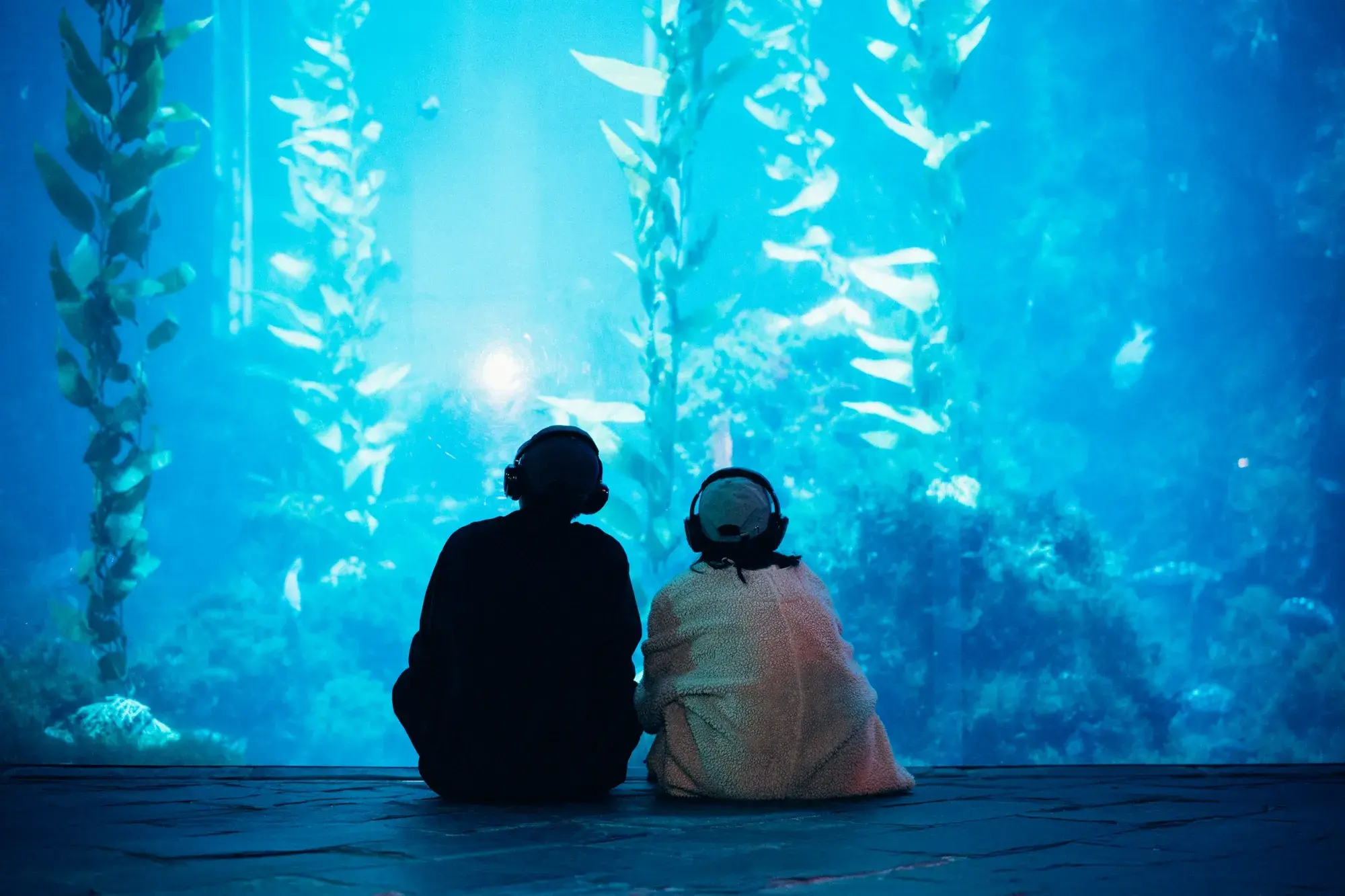 屏東海生館「海洋生活祭」