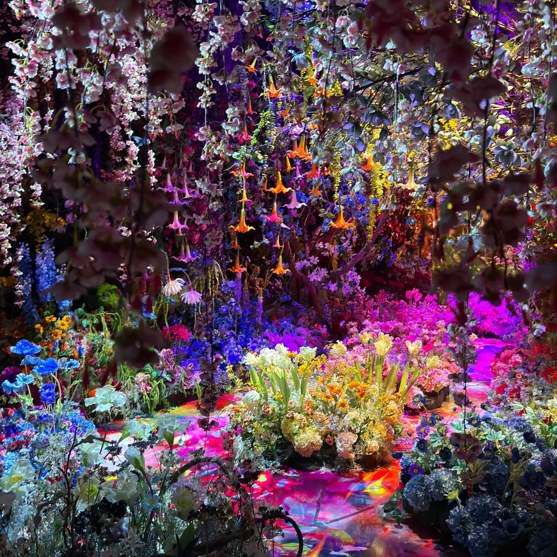 【聯合數位文創】蜷川實花 展區 《深淵彼岸的夢》