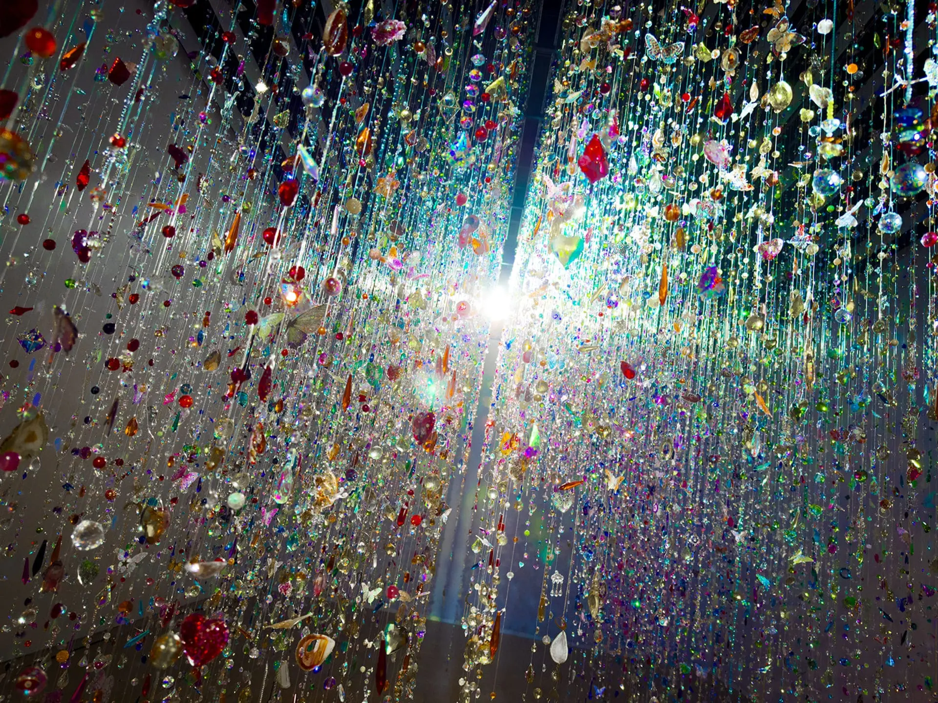 【聯合數位文創】蜷川實花 展區 《光之細語，色彩之夢》