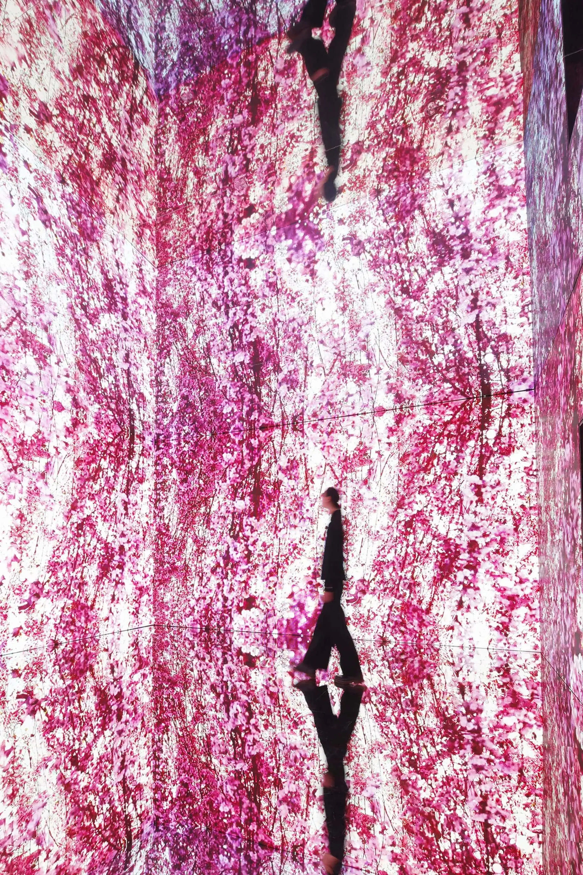 【聯合數位文創】蜷川實花 展區 《深淵彼岸的夢》03