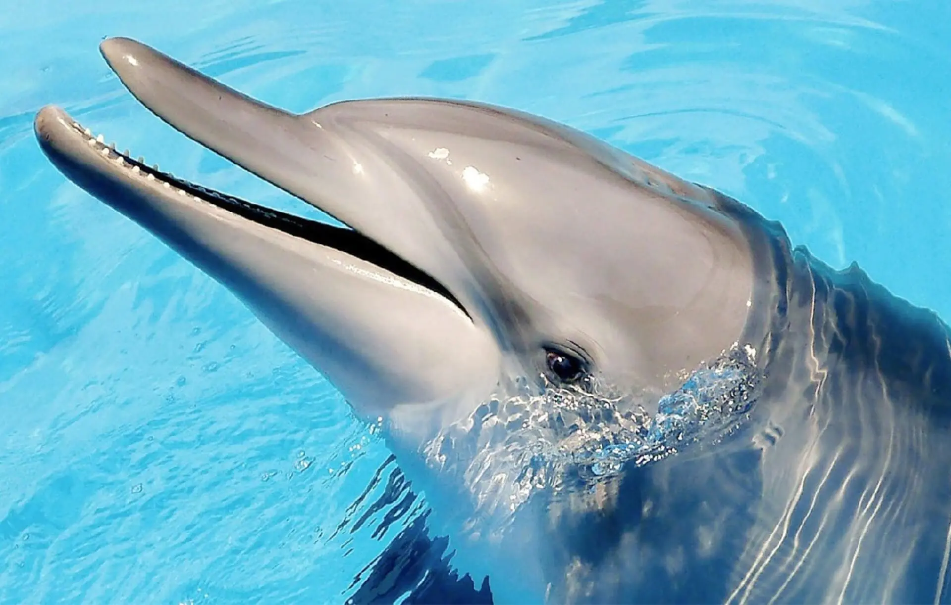 野柳海洋世界 1