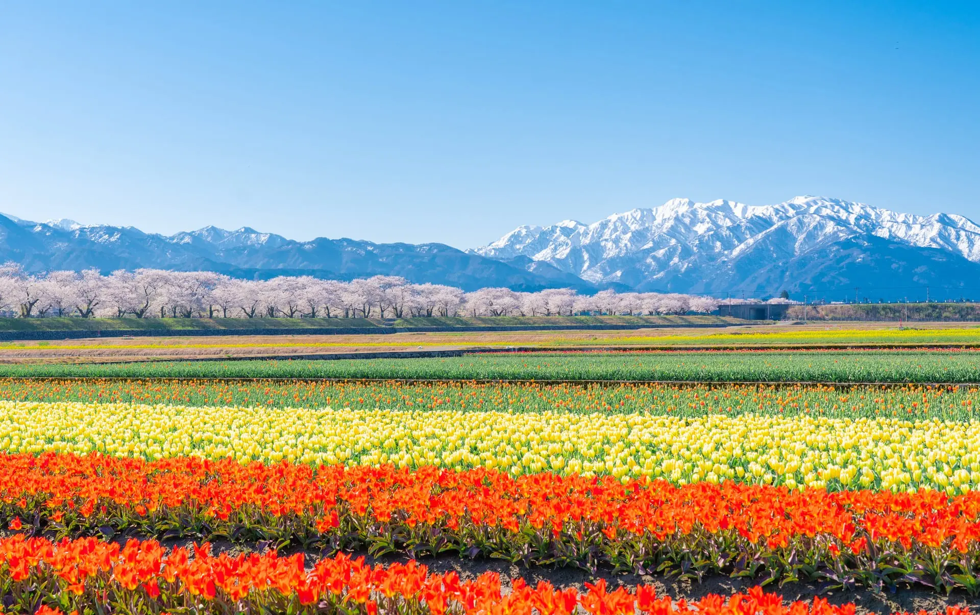 【富山縣】春日四重奏02