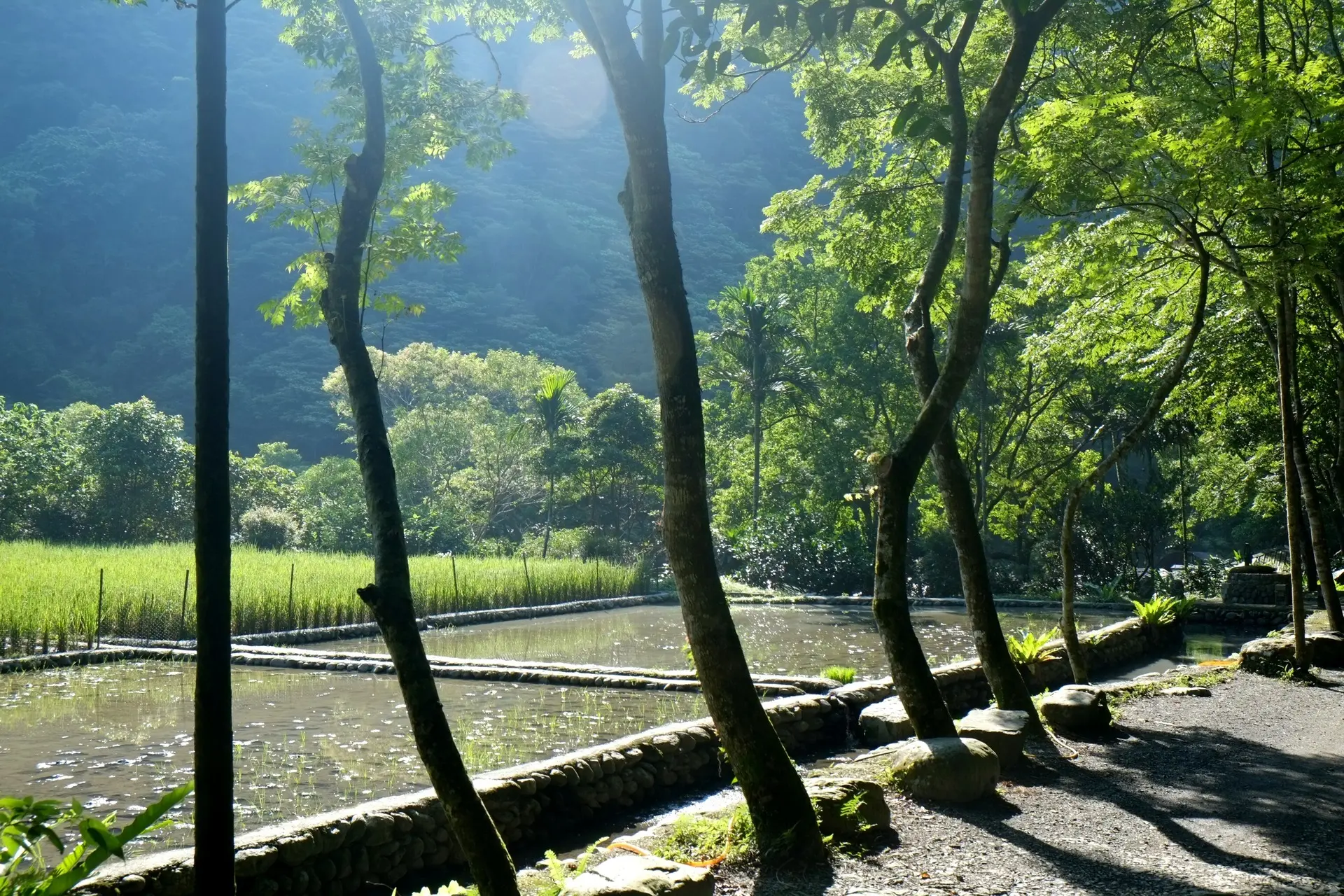 頭城休閒農場 3