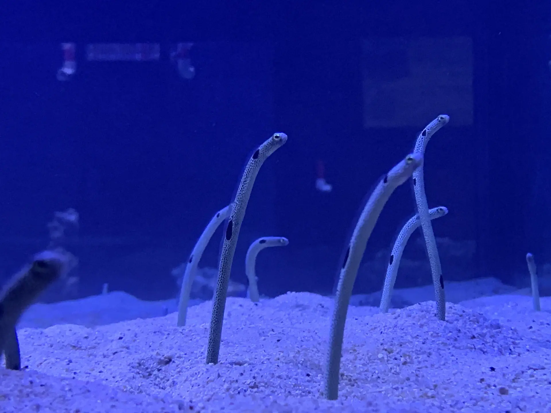 金車生技水產養殖研發中心 2