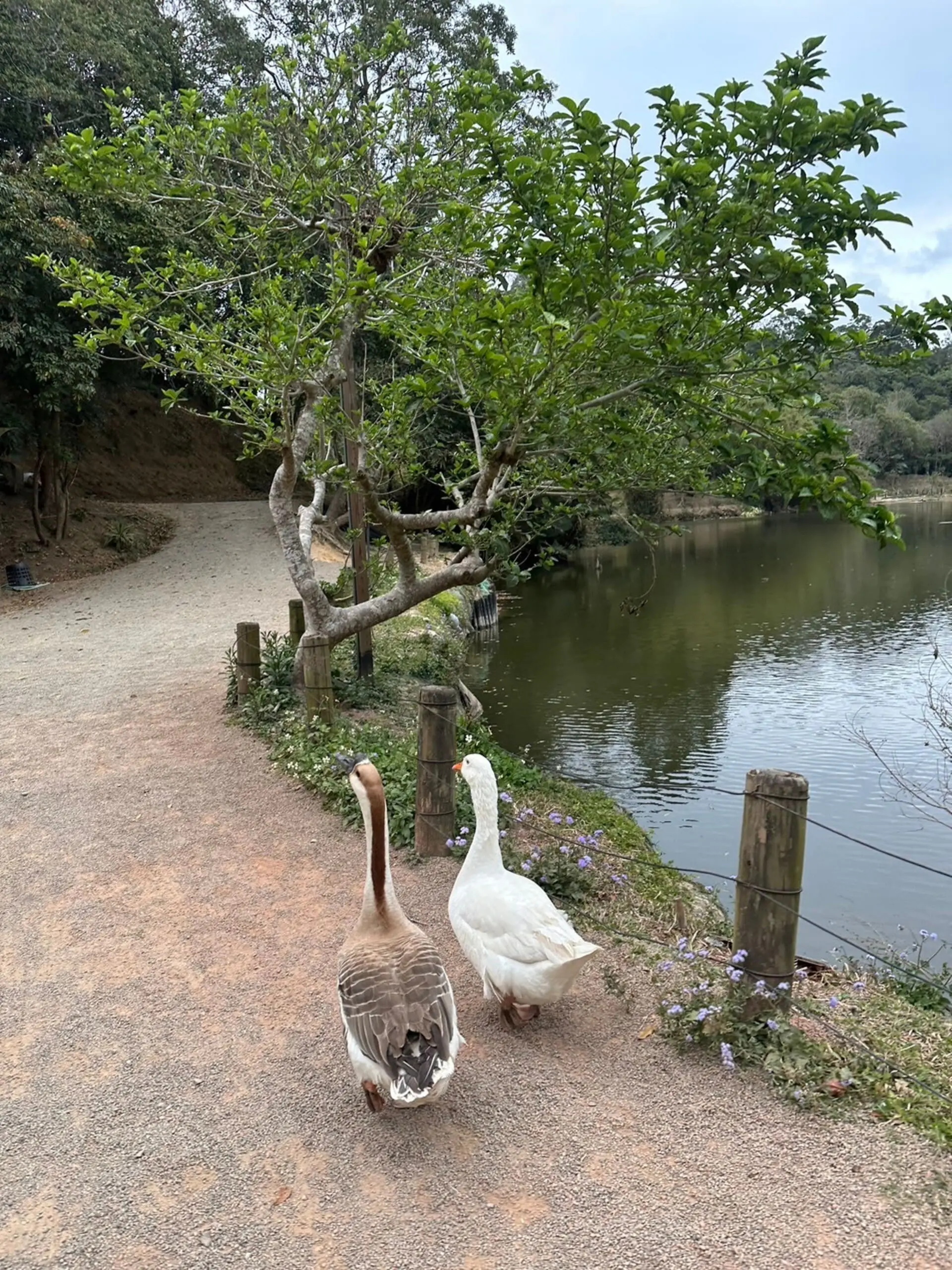 綠世界生態農場 2