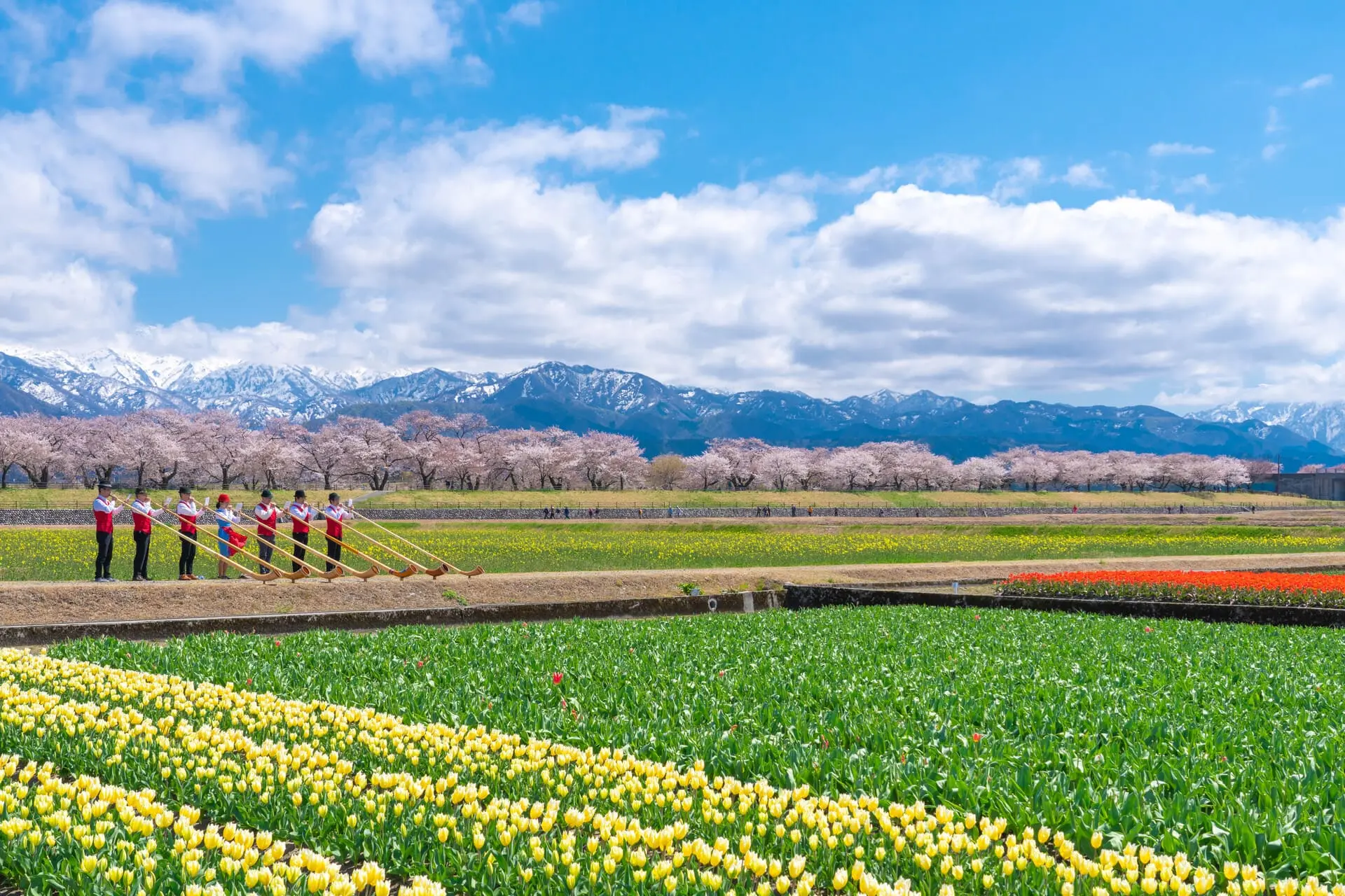 【富山縣】春日四重奏03