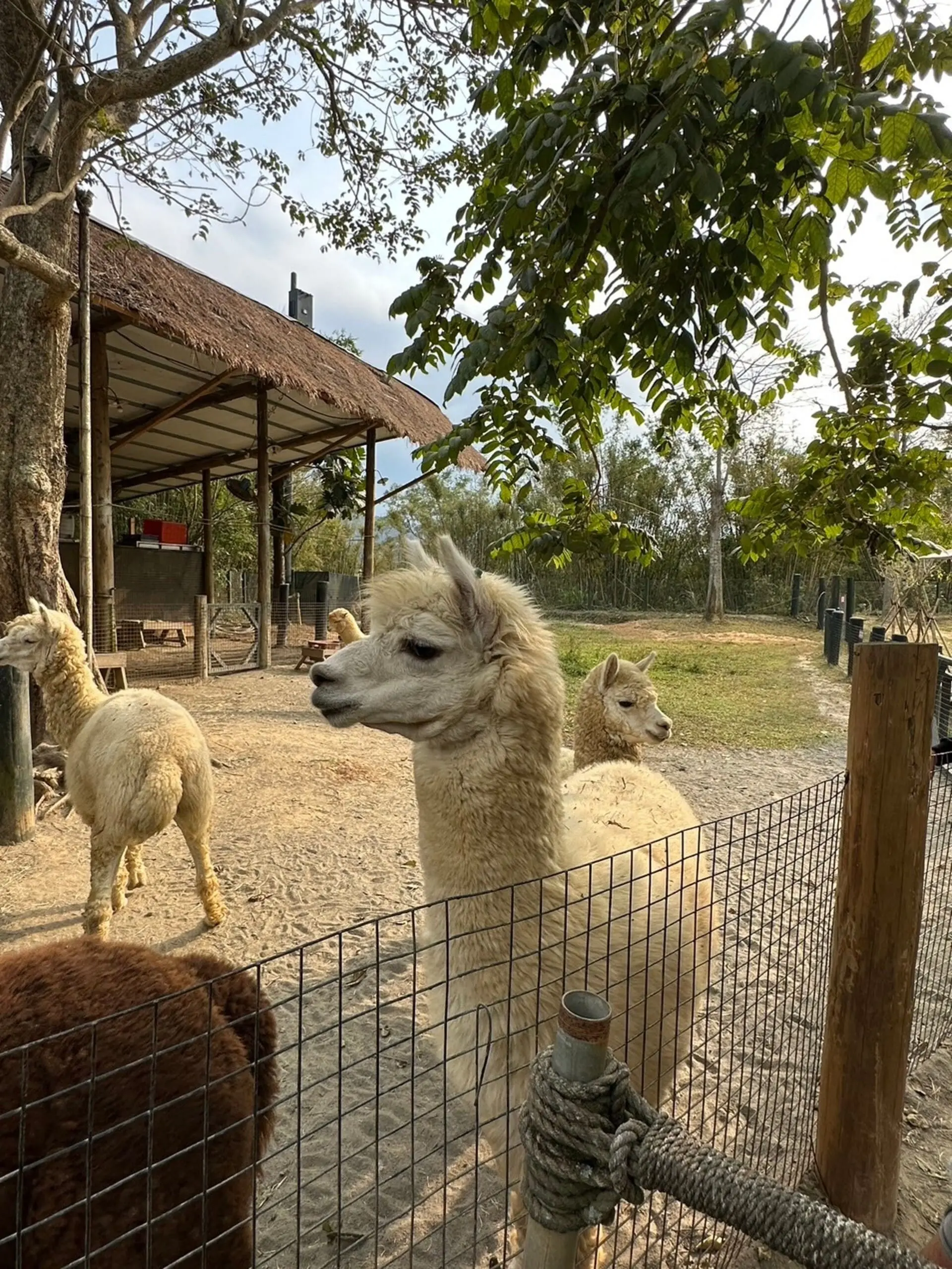 綠世界生態農場 1