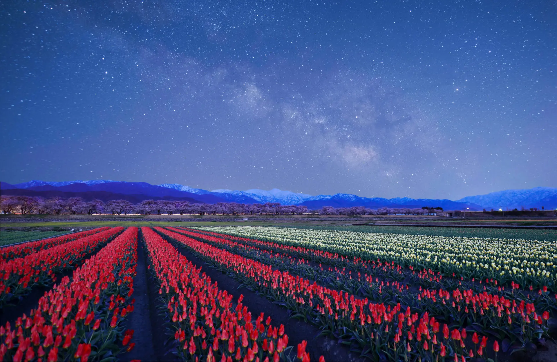 【富山縣】春日四重奏05